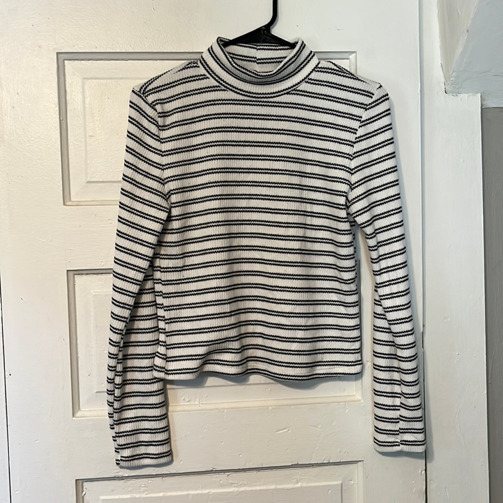Longe sleeve striped turtle neck sweater